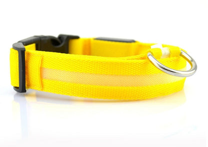 Safety Dog LED Collar